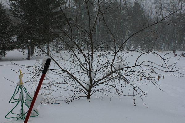 New Camera Dec2010 374